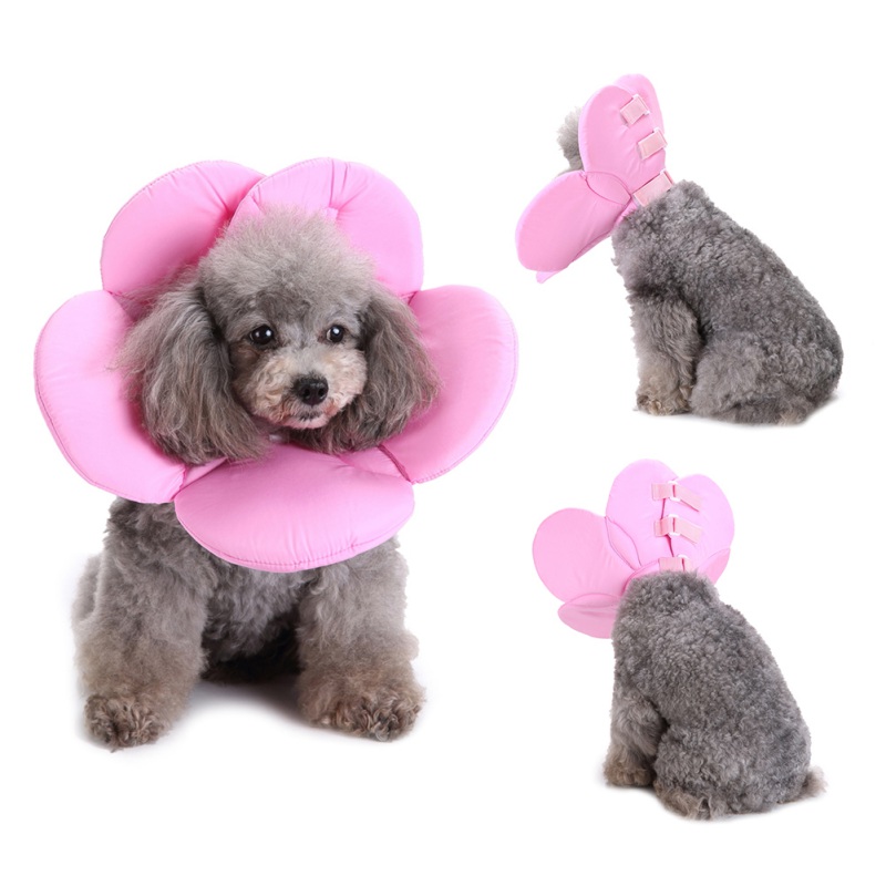 soft e collar for dogs